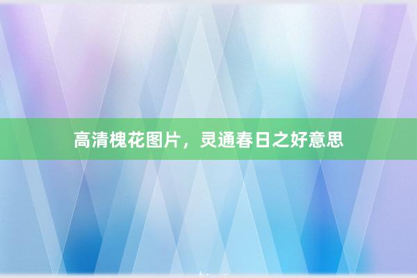 高清槐花图片，灵通春日之好意思